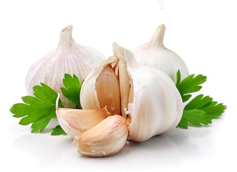 تصویر 1 از فروش سیر سفید همدان + قیمت خرید به صرفه