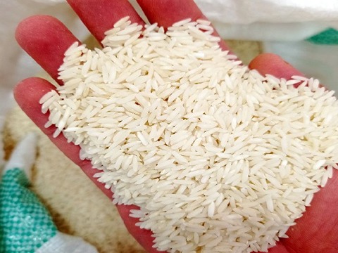 تصویر 2 از فروش برنج هاشمی کشت دوم + قیمت خرید به صرفه