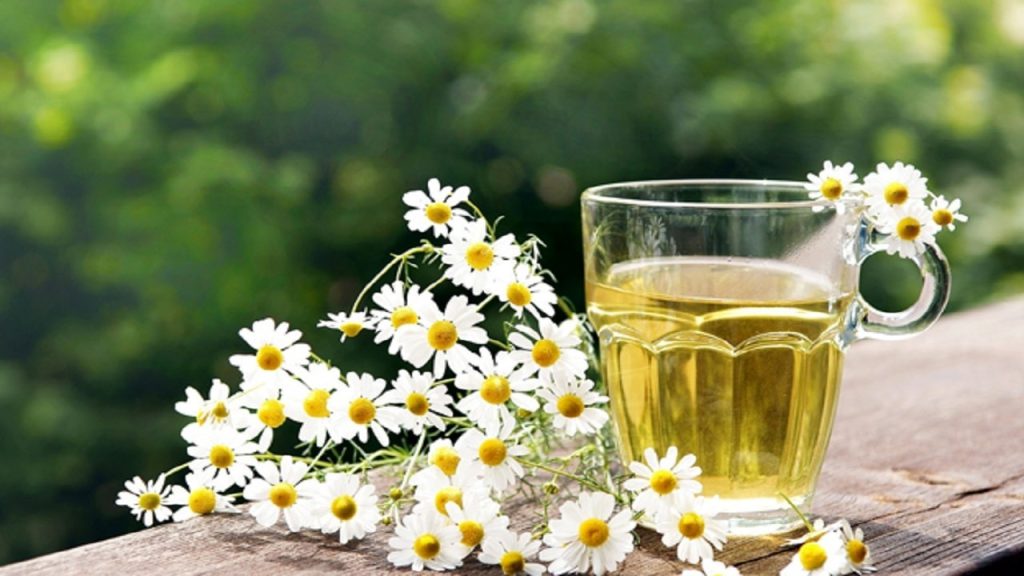 تصویر 1 از خرید عرق گیاهی بابونه + قیمت فروش استثنایی