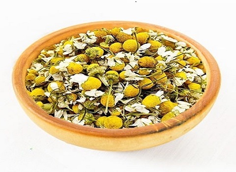 تصویر 4 از قیمت گل بابونه خشک شده + خرید باور نکردنی
