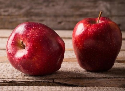 تصویر 2 از خرید و قیمت سیب قرمز گالا + فروش عمده