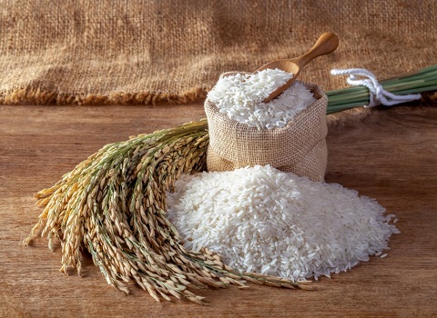 تصویر 3 از خرید و قیمت برنج کامفیروز فارس + فروش عمده
