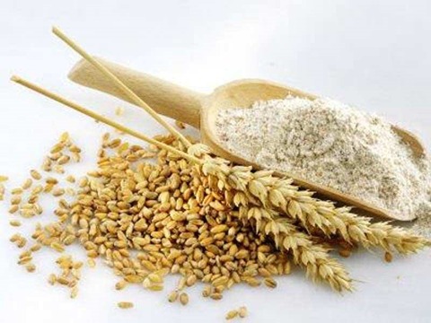 تصویر 1 از فروش سویق جو و گندم + قیمت خرید به صرفه