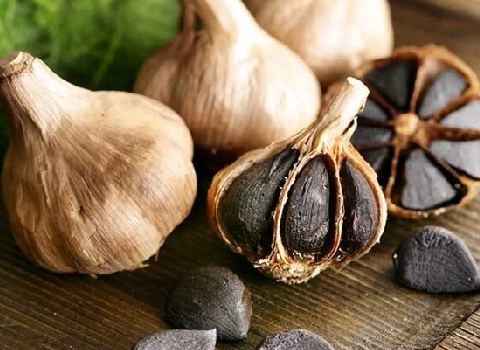 تصویر 1 از خرید و قیمت خرید سیر سیاه عمده + فروش عمده