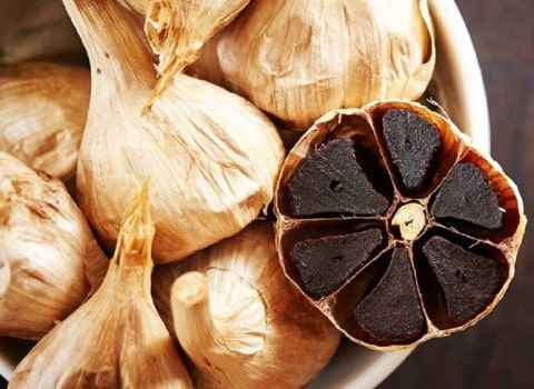 خرید و قیمت خرید سیر سیاه عمده + فروش عمده