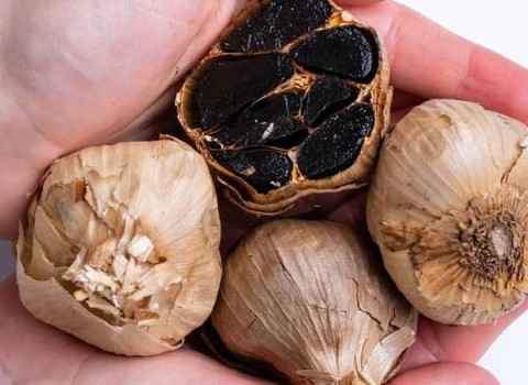تصویر 4 از خرید و قیمت خرید سیر سیاه عمده + فروش عمده