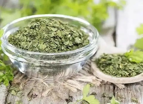 تصویر 4 از خرید و قیمت ریحان خشک شده + فروش عمده