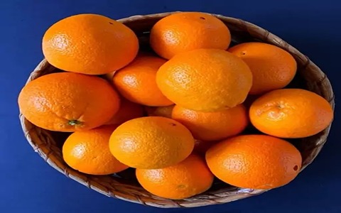 تصویر 3 از قیمت خرید پرتقال تامسون ناول با فروش عمده