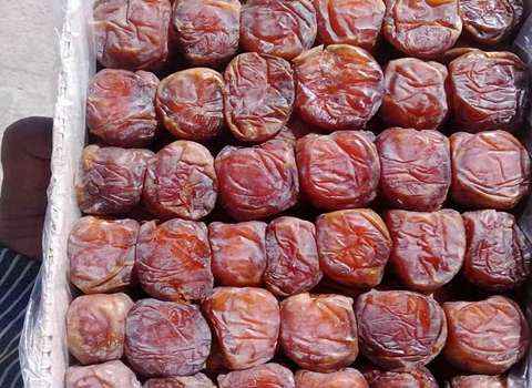 تصویر 3 از خرید و قیمت خرما سنگ مرداب  + فروش عمده