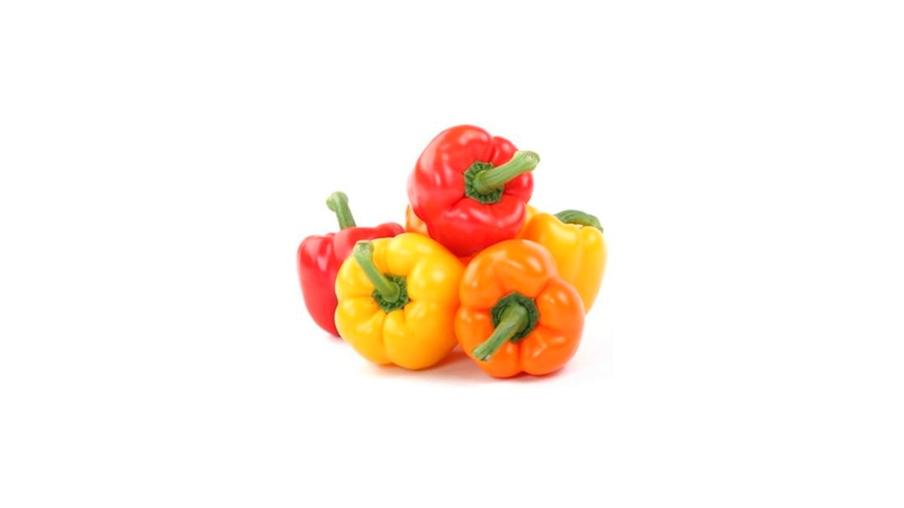 تصویر 2 از فروش فلفل دلمه رنگی گلخانه ای + قیمت خرید به صرفه