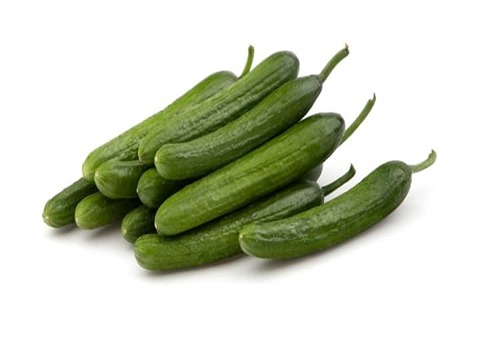 تصویر 4 از خرید و فروش خیار گلخانه ای جیرفت با شرایط فوق العاده