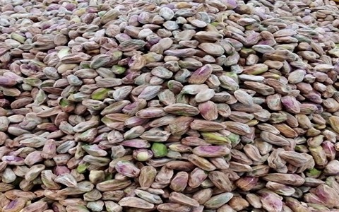 تصویر 1 از خرید مغز پسته ریز + قیمت فروش استثنایی