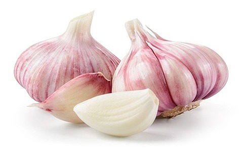 تصویر 3 از قیمت خرید سیر سفید بی بو + فروش ویژه