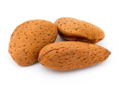 تصویر 3 از قیمت خرید بادام درختی ارگانیک + فروش ویژه و عمده