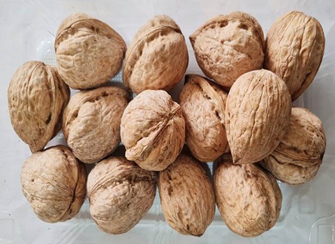 تصویر 4 از خرید گردو کاغذی درشت + قیمت فروش استثنایی