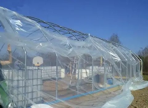 تصویر 4 از خرید نایلون گلخانه ای شفاف + قیمت فروش استثنایی