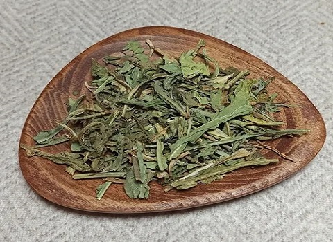 تصویر 2 از خرید و فروش گیاه کاسنی خشک شده با شرایط فوق العاده
