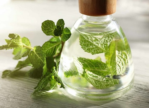 تصویر 3 از قیمت خرید عرق نعنا خالص + فروش ویژه