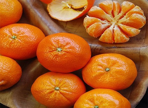 تصویر 4 از فروش نارنگی پیج شمال + قیمت خرید به صرفه