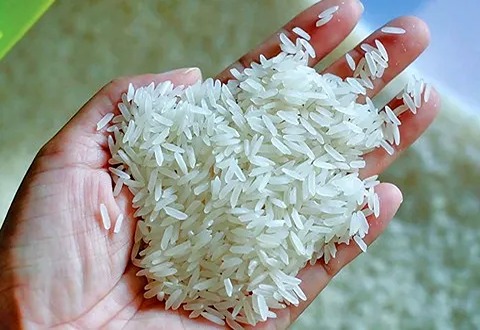 تصویر 1 از قیمت برنج چمپا حاج احمد + خرید باور نکردنی