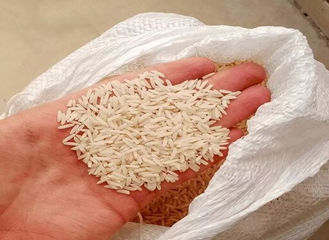 تصویر 4 از قیمت خرید برنج هاشمی درجه یک + فروش ویژه
