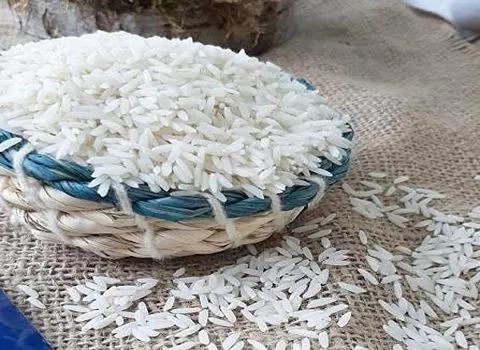 تصویر 3 از فروش برنج کامفیروز بردیا + قیمت خرید به صرفه