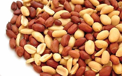 تصویر 2 از خرید و فروش بادام زمینی با پوست قرمز با شرایط فوق العاده