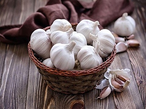 تصویر 1 از خرید و قیمت سیر سفید بی بو + فروش عمده