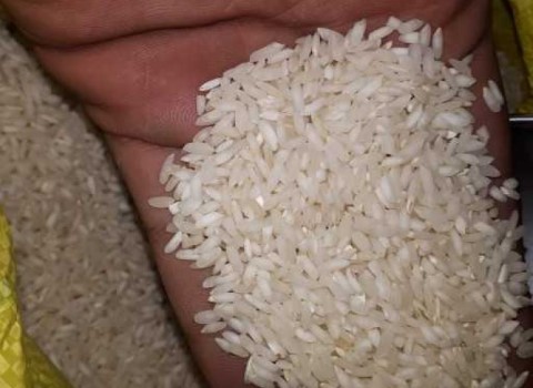 تصویر 4 از قیمت برنج عنبربو شوشتر با کیفیت ارزان + خرید عمده