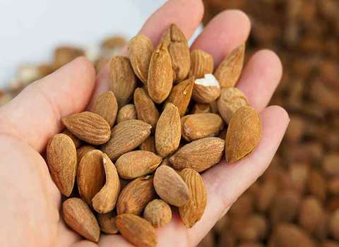تصویر 3 از بادام درختی گلستان در بسته بندی های لوکس