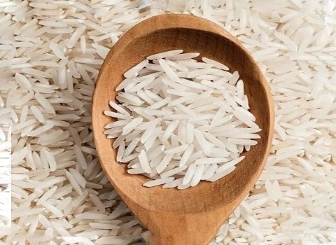 تصویر 1 از قیمت خرید برنج شیرودی فریدونکنار باران با فروش عمده
