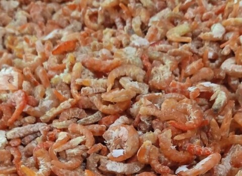 تصویر 4 از فروش میگو خشک نمکی + قیمت خرید به صرفه