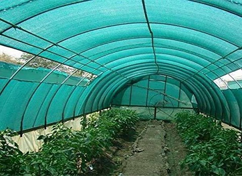 تصویر 4 از قیمت توری سایبان گلخانه + خرید باور نکردنی