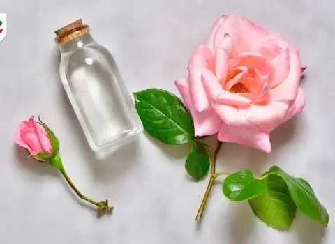 تصویر 4 از خرید گلاب سنگین کاشان + قیمت فروش استثنایی
