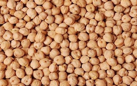 تصویر 4 از فروش نخود سفید کرمانشاه + قیمت خرید به صرفه