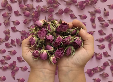 تصویر 2 از خرید غنچه گل محمدی صادراتی + قیمت فروش استثنایی