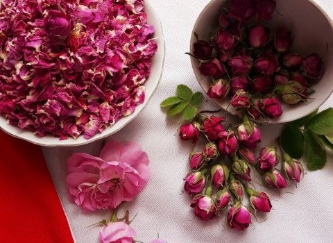 تصویر 3 از خرید غنچه گل محمدی صادراتی + قیمت فروش استثنایی