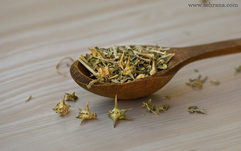 تصویر 1 از خرید و فروش گیاه دارویی خارخاسک با شرایط فوق العاده