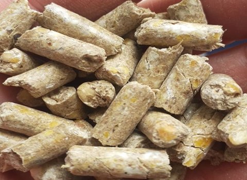 تصویر 3 از فروش خوراک دام بابل + قیمت خرید به صرفه