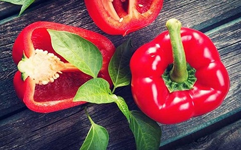 تصویر 3 از فروش فلفل دلمه قرمز + قیمت خرید به صرفه