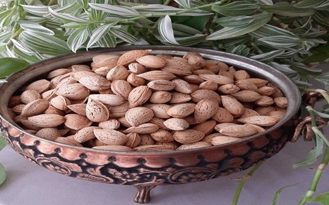 تصویر 3 از فروش بادام سنگی شهرکرد + قیمت خرید به صرفه