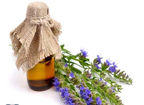 تصویر 3 از قیمت عرق گیاهی زوفا + خرید باور نکردنی