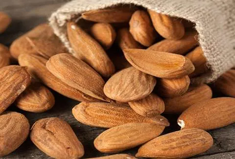 تصویر 3 از خرید بادام مامایی دیم + قیمت فروش استثنایی