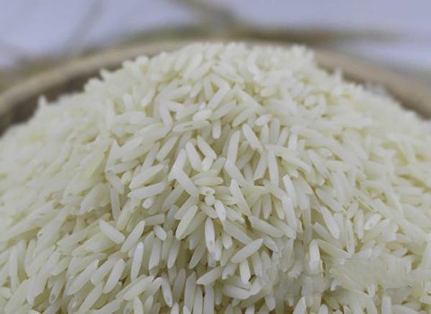 تصویر 4 از خرید و فروش برنج جنوب چمپا با شرایط فوق العاده