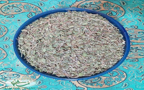 تصویر 1 از فروش گیاه دارویی آویشن + قیمت خرید به صرفه