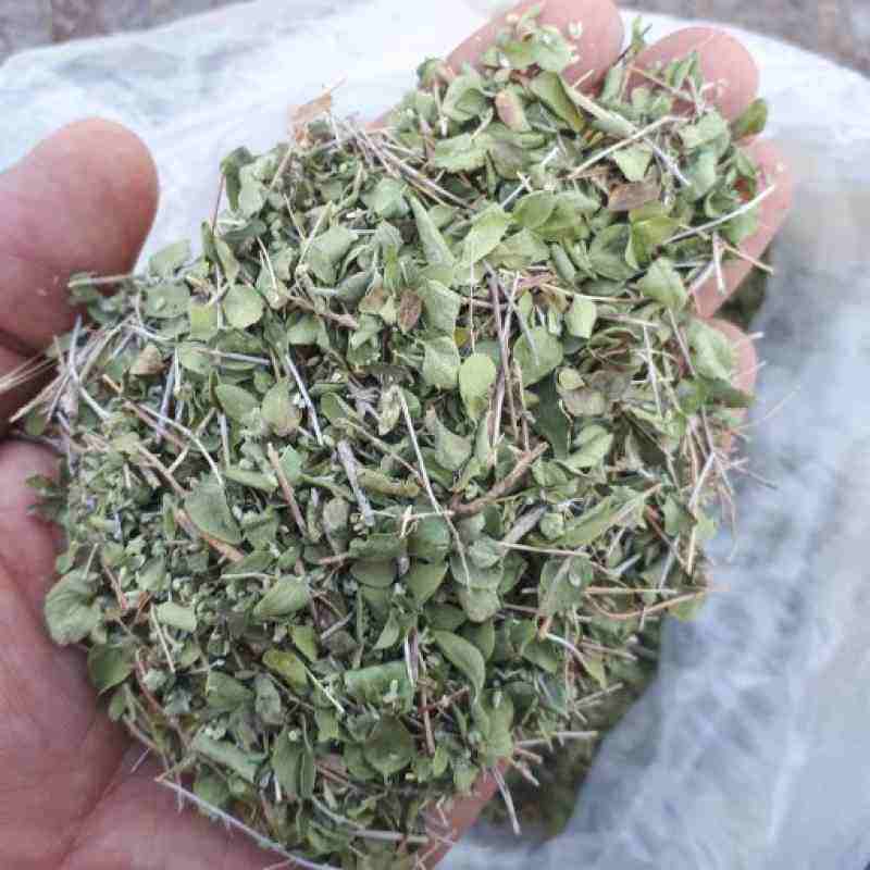 تصویر 1 از خرید و قیمت پودر آویشن گلستان  + فروش عمده