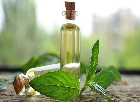 تصویر 1 از خرید و قیمت عرق نعنا ممتاز