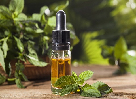 تصویر 1 از خرید اسانس طبیعی نعنا + قیمت فروش استثنایی