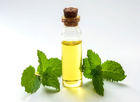 تصویر 4 از خرید اسانس طبیعی نعنا + قیمت فروش استثنایی