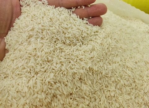 تصویر 4 از قیمت خرید برنج عنبر بو هاشمی + فروش ویژه